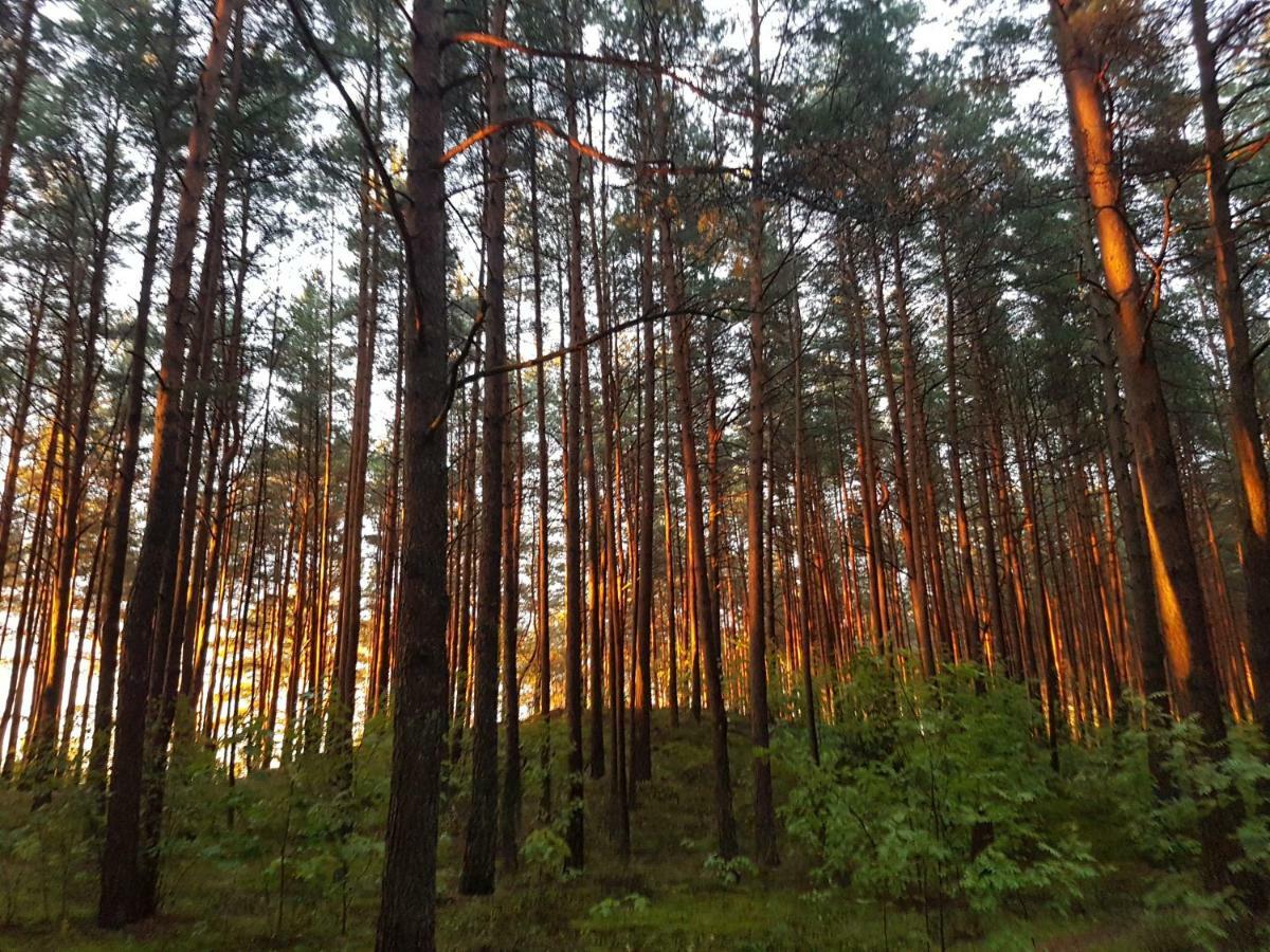 Small Resort Pini & Spa Юрмала Экстерьер фото